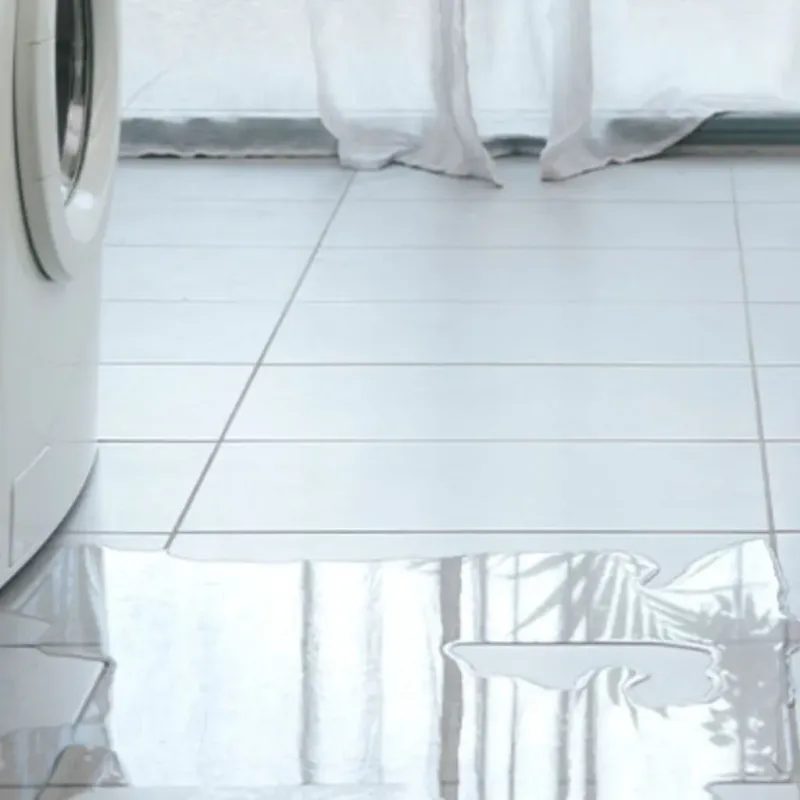 Appliance Leak Cleanup in Paso Robles, CA