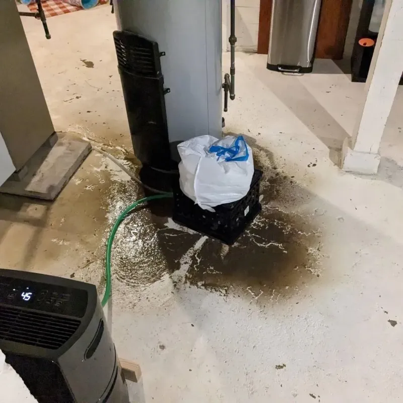 Sewage Backup Cleanup Service in Paso Robles, CA